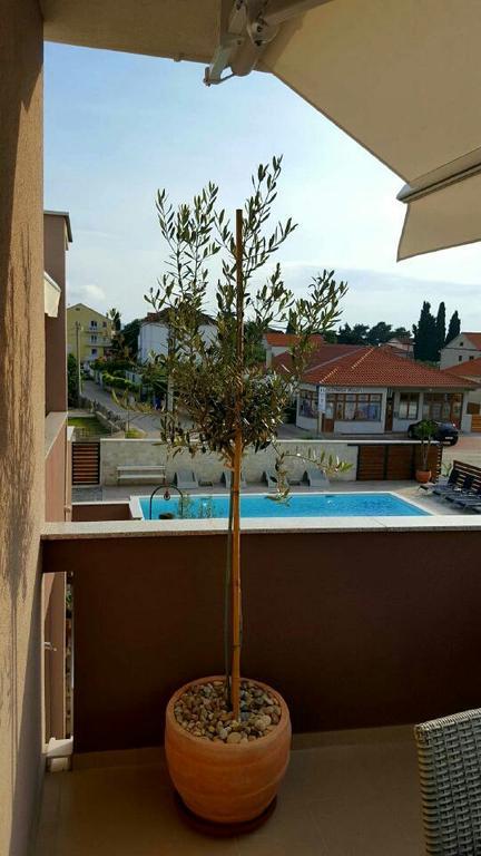 Antonija With Pool Apartment *